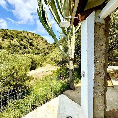 Villa Lo Scoglio Ascea Buitenkant foto