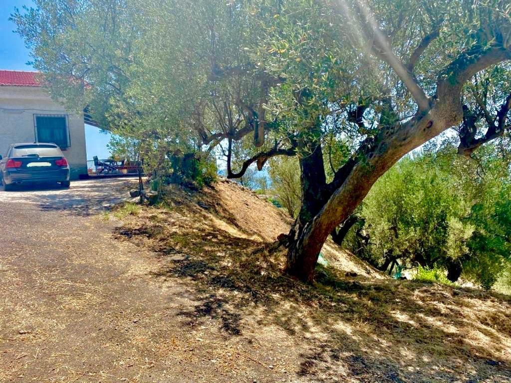Villa Lo Scoglio Ascea Buitenkant foto